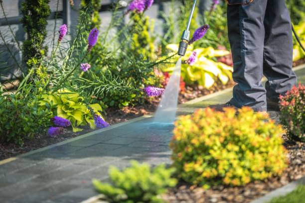 Best Patio and Deck Pressure Washing  in Dublin, TX